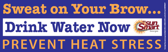 Hydrate Bumper Sticker
